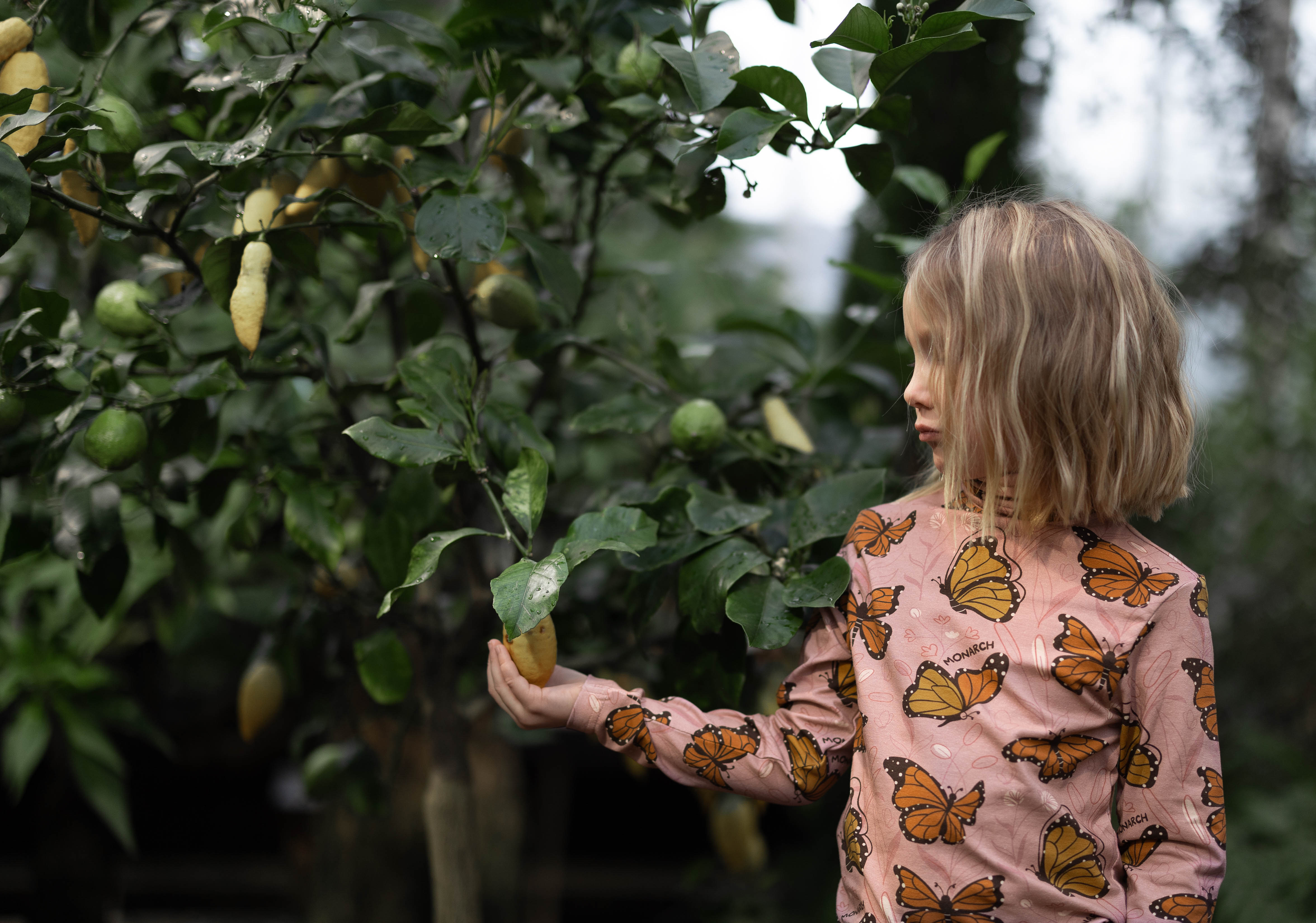 Jurk / Dress LS Monarch Majesty - Meyadey (Maxomorra)