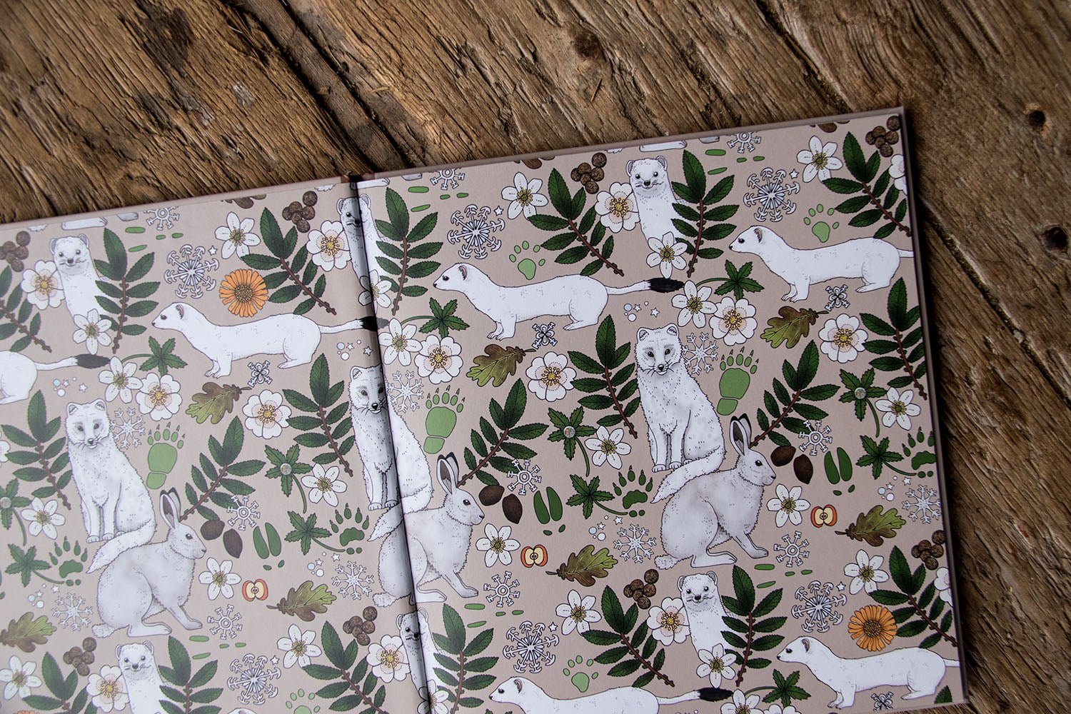 Boek Mina första nordiska djur - Eplaros