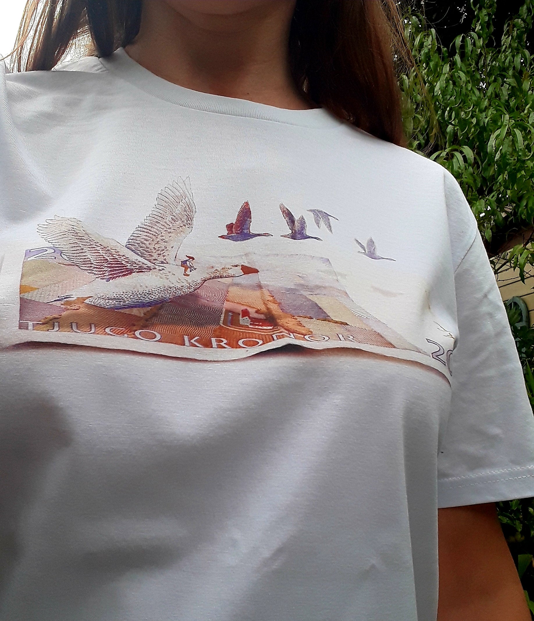 Twinning T-shirt Nils Holgersson adult & kids – Ekoshop Tillvaro