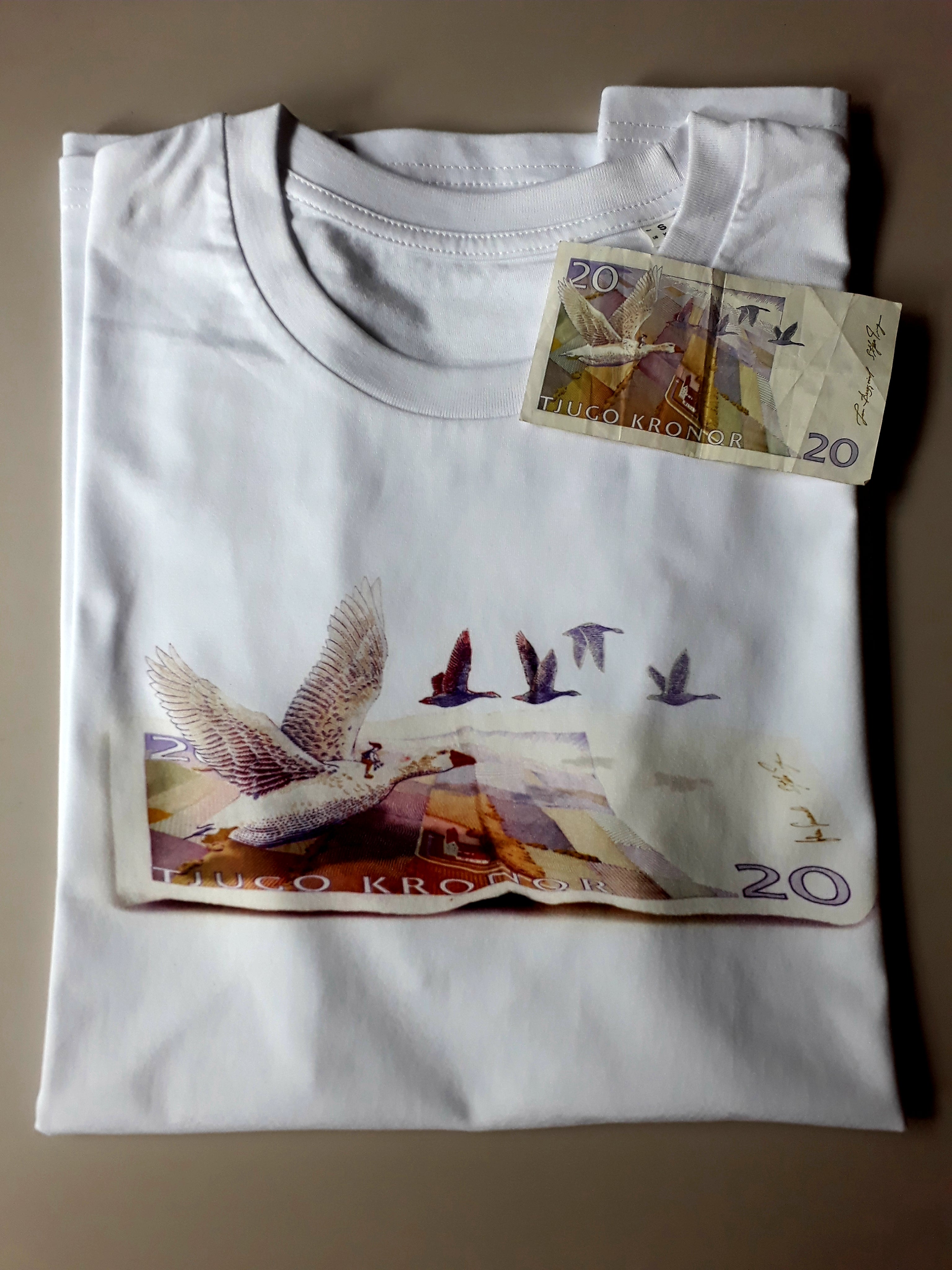 Twinning T-shirt Nils Holgersson adult & kids – Ekoshop Tillvaro