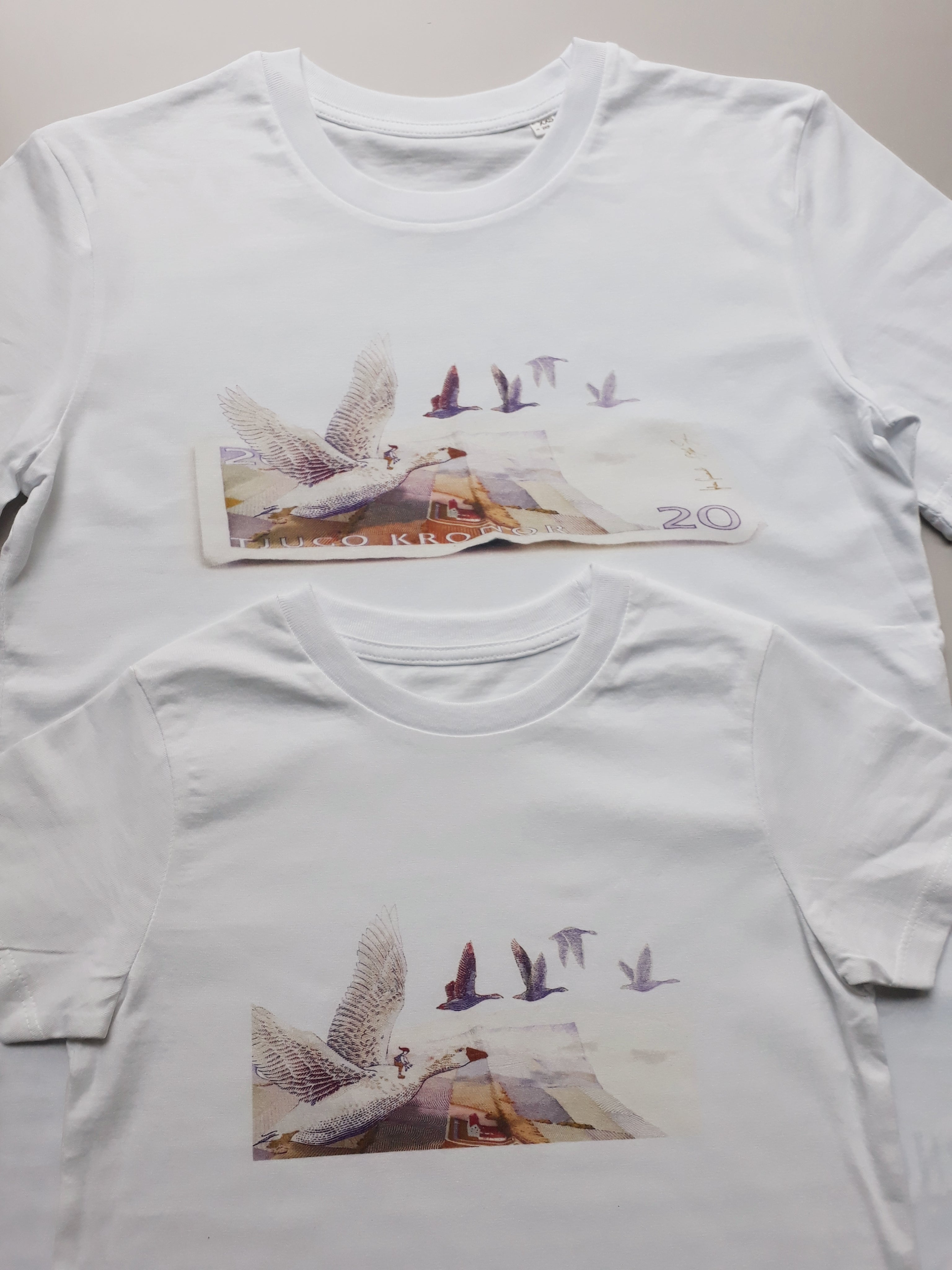 Twinning T-shirt Nils Holgersson adult & kids – Ekoshop Tillvaro