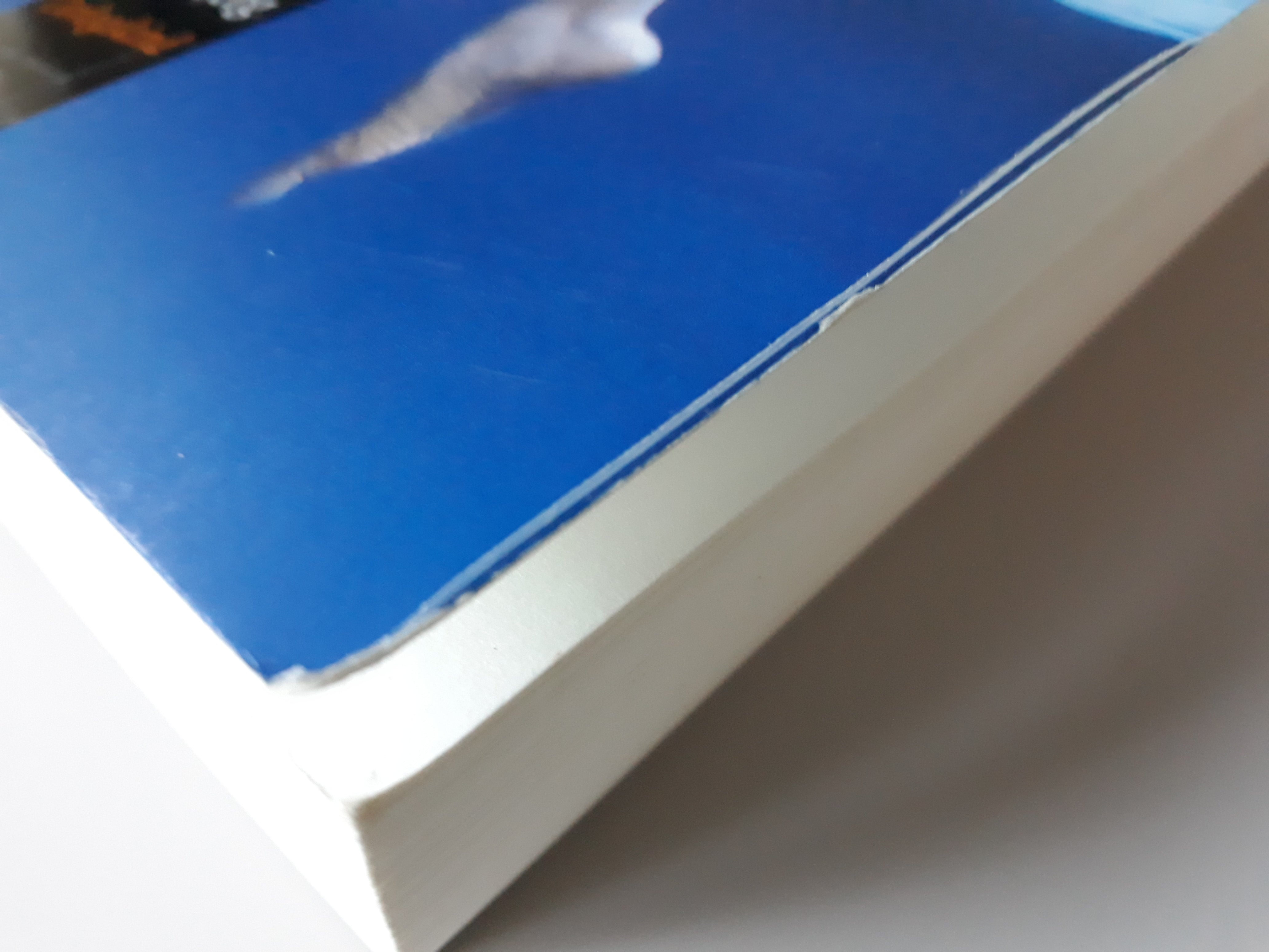 Camilla Läckberg - Oorlogskind- 2dehands gebruikt