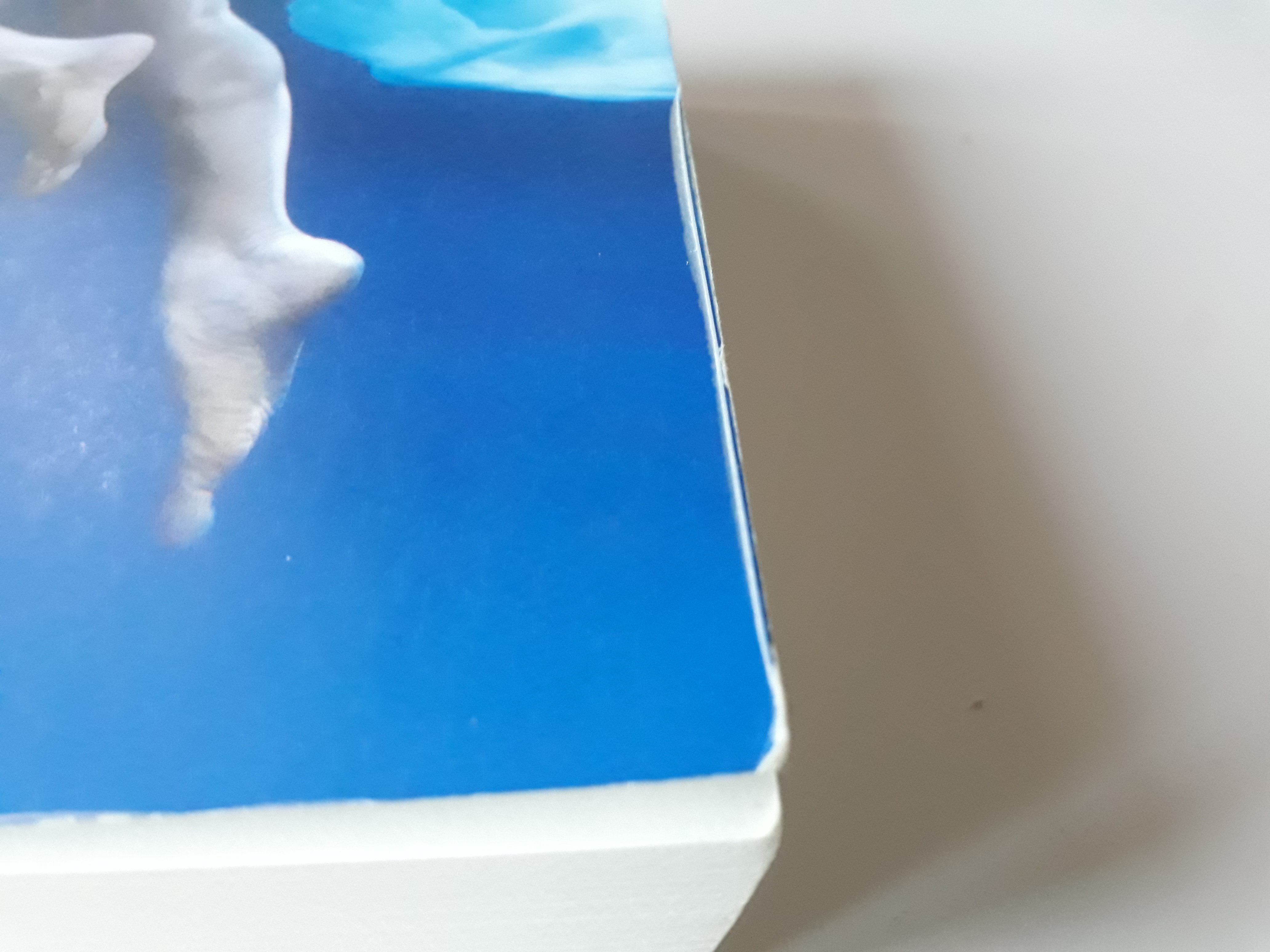 Camilla Läckberg - Oorlogskind- 2dehands gebruikt