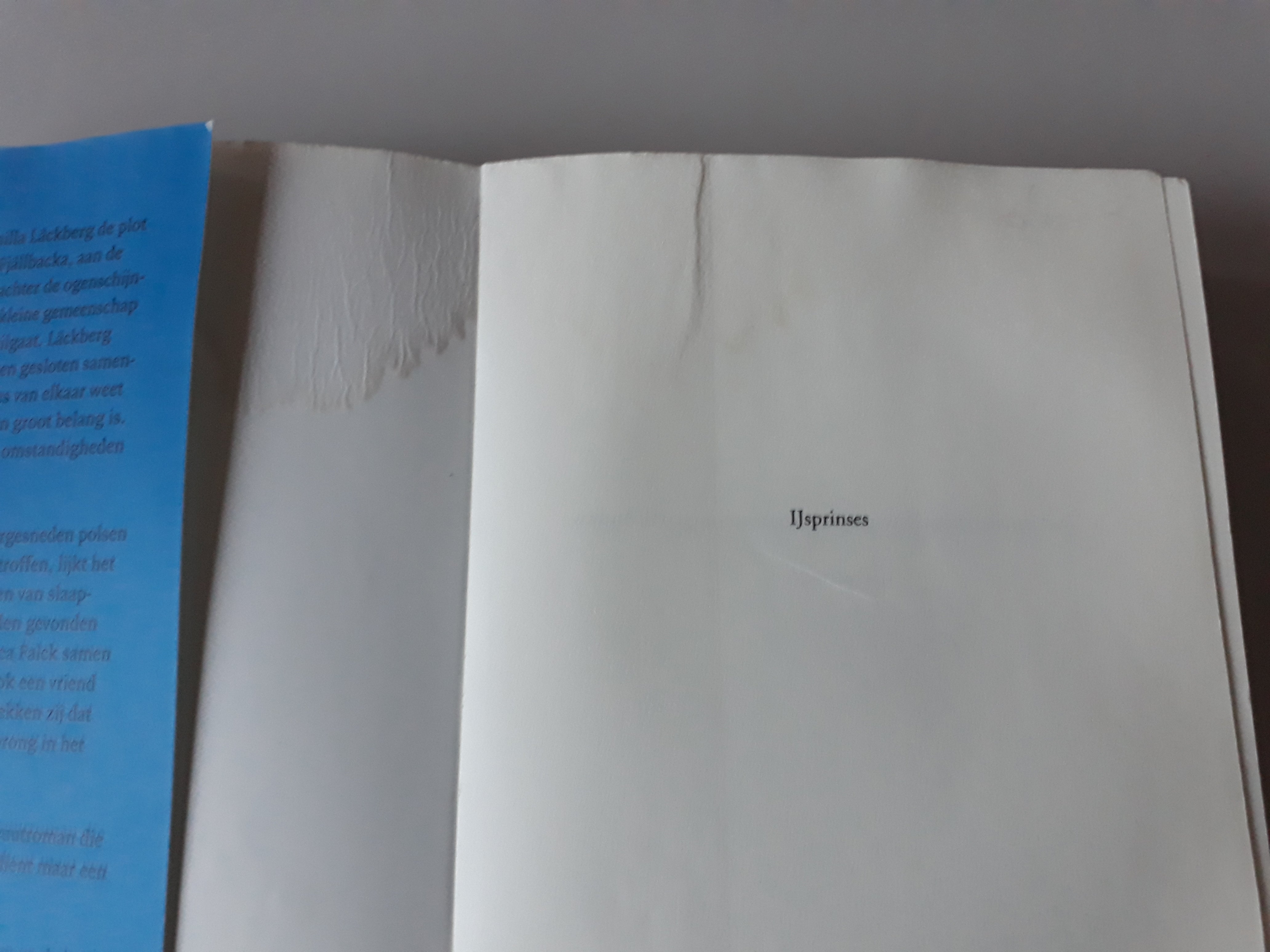 Camilla Läckberg - IJsprinses - 2dehands gebruikt