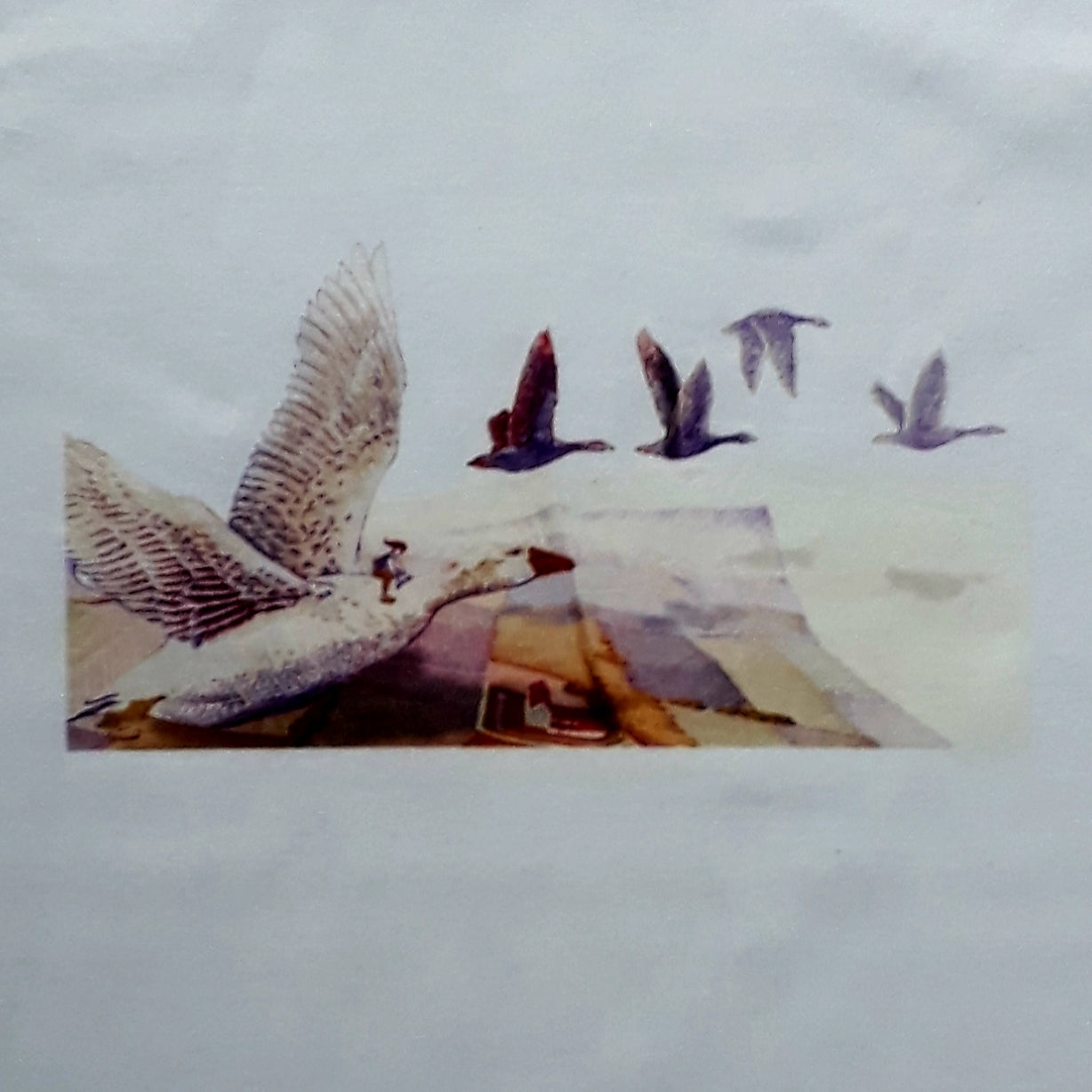 Twinning T-shirt Nils Holgersson adult & kids – Ekoshop Tillvaro