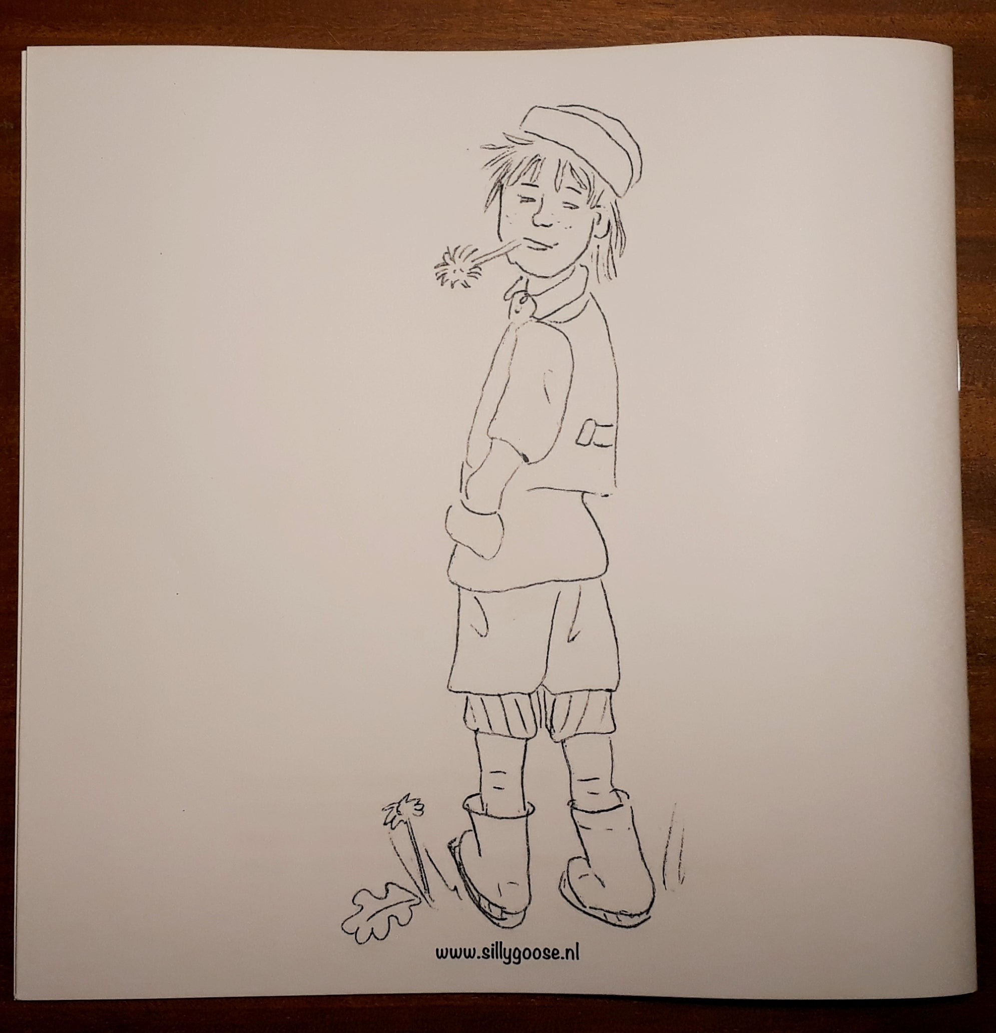 Kleurboek / prentenboek Emiel's koeien – Silly Goose