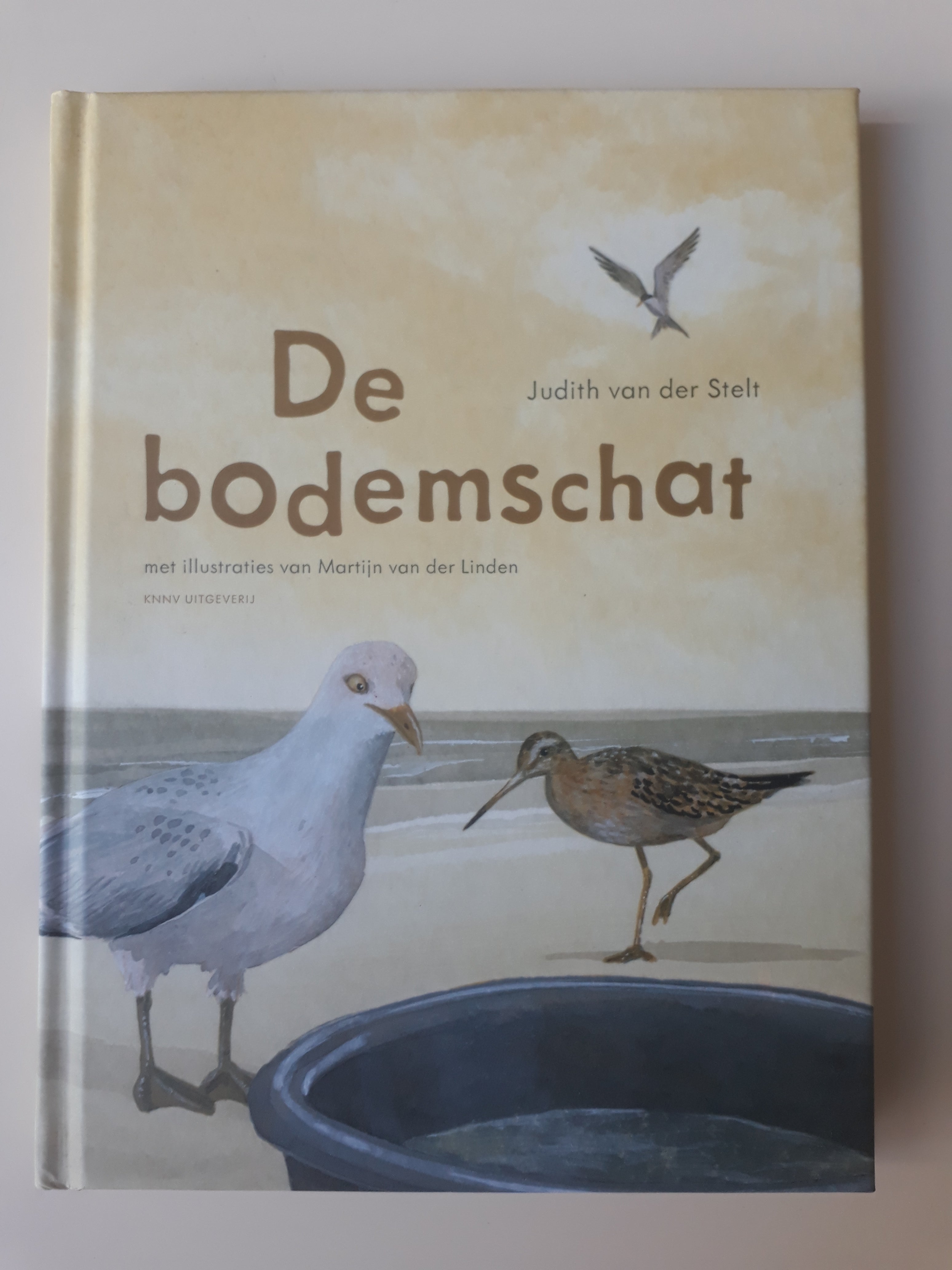 De Bodemschat - Judith van der Stelt - 2dehands