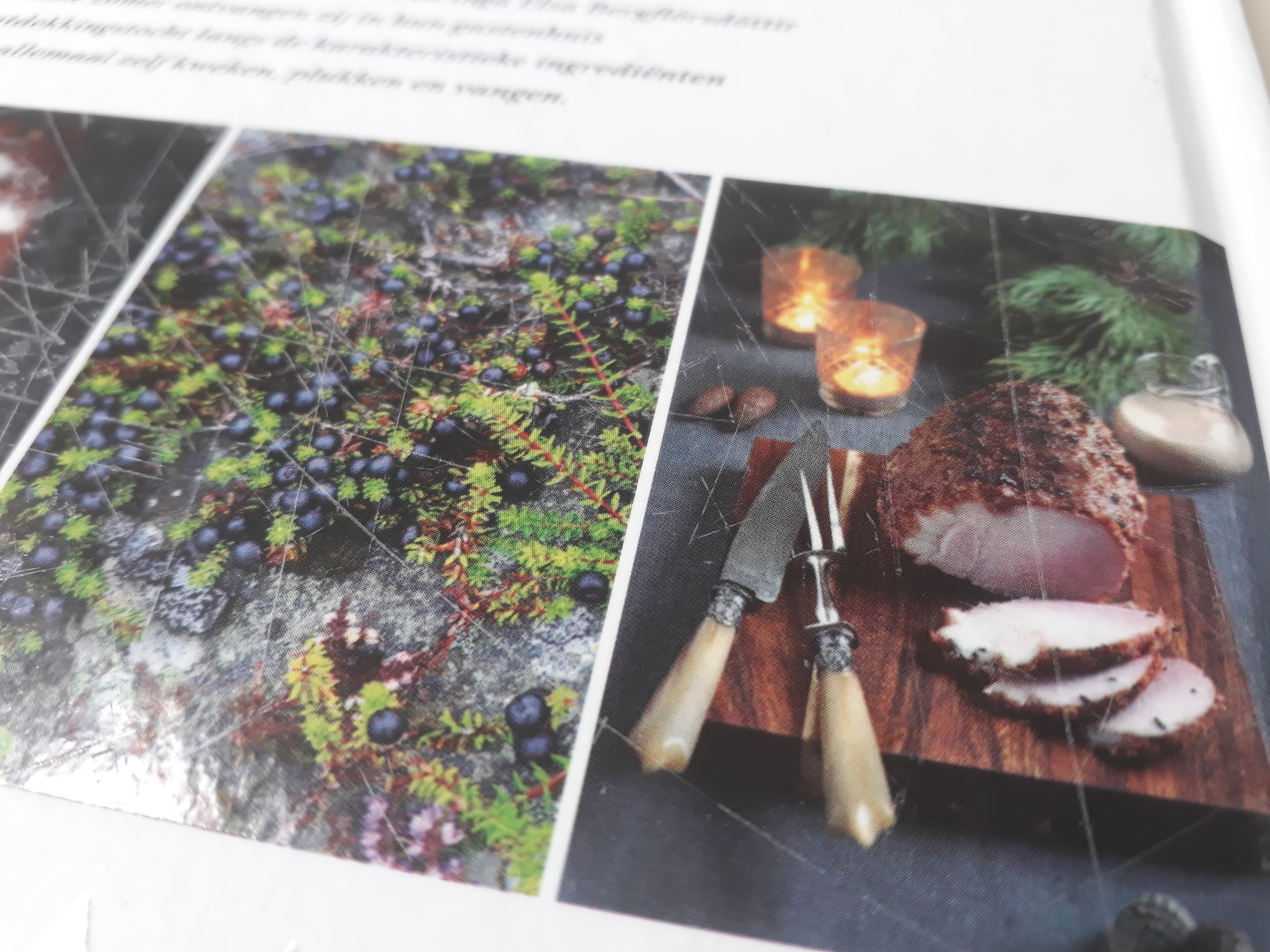 Het Nordic kookboek – Gísli Egill Hrafnsson & Inga Elsa Bergpórsdóttir
