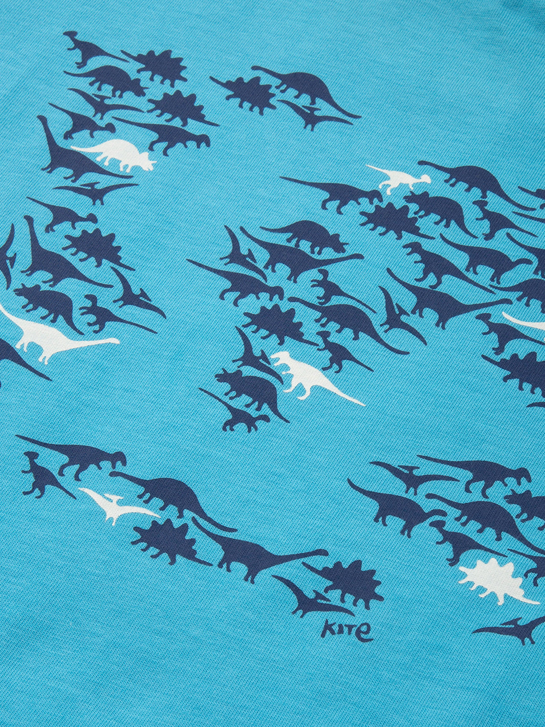 T-shirt Dino World - Kite Clothing