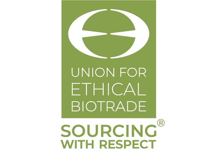 Skin Food Light 30 ml – Weleda