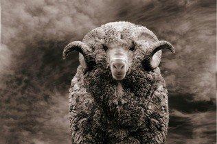 Kids thermo longsleeve / Crewneck 200 Lake Green - Woolpower