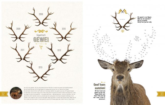 Het dubbeldikke doe-boek (3 in één: Natuur, Vogels & Insecten) - Roots