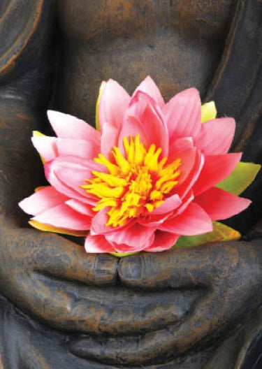 Wenskaart Lotus – Zintenz Organic Cards