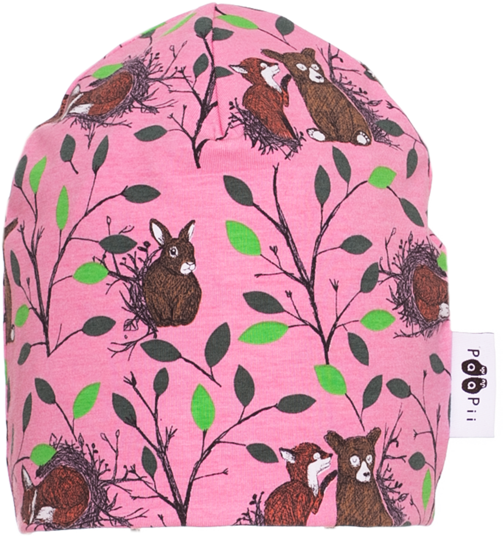 Muts Beanie Morning Light Pink Green – Paapii Design