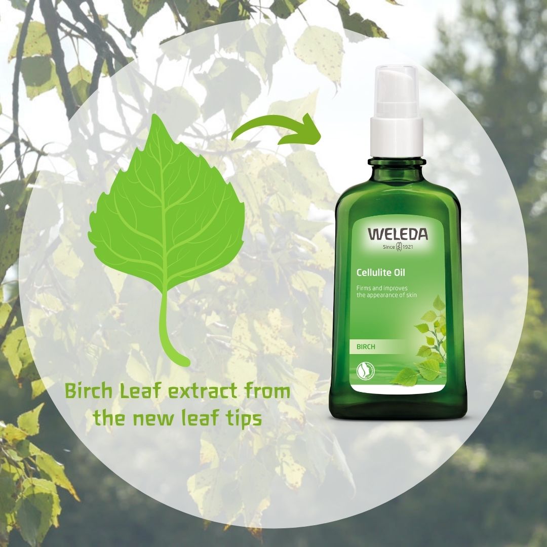 Berken Anti Cellulite Olie – Weleda