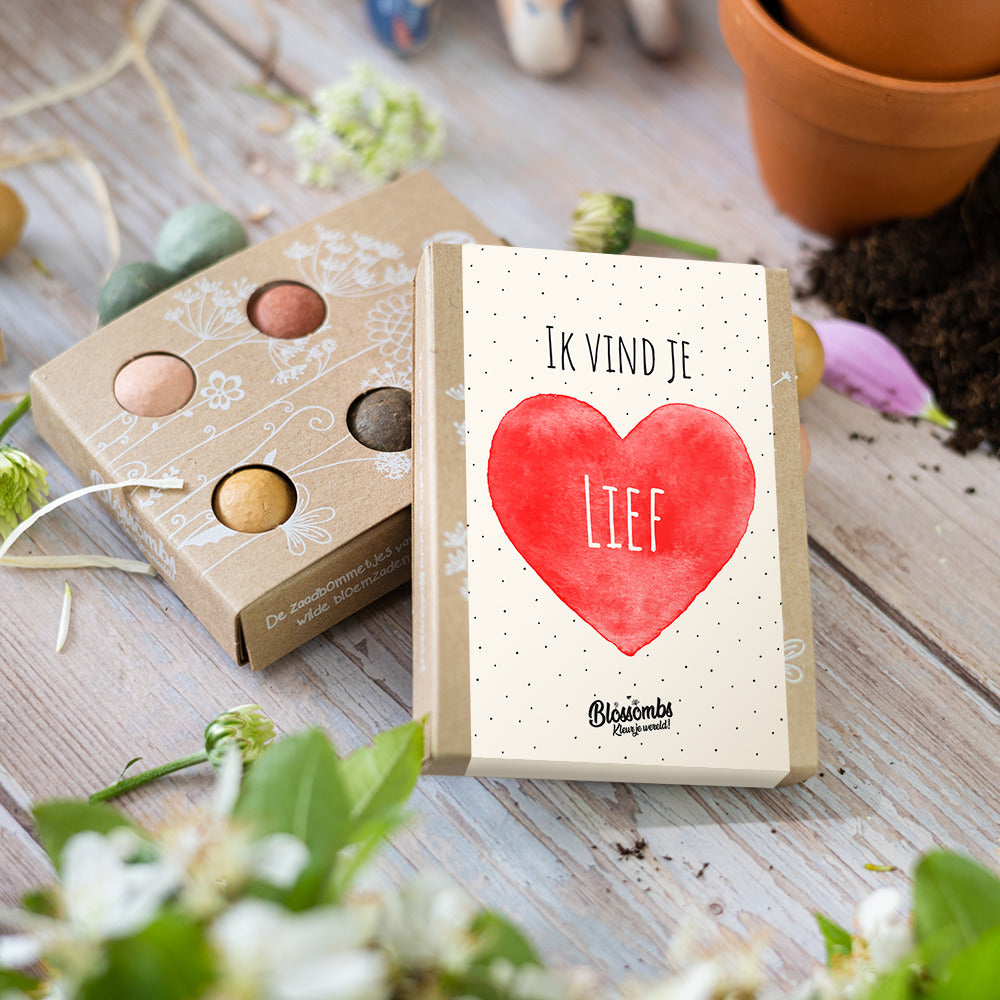 Zaadbommetjes Giftbox Mini “Ik vind je lief” - Blossombs