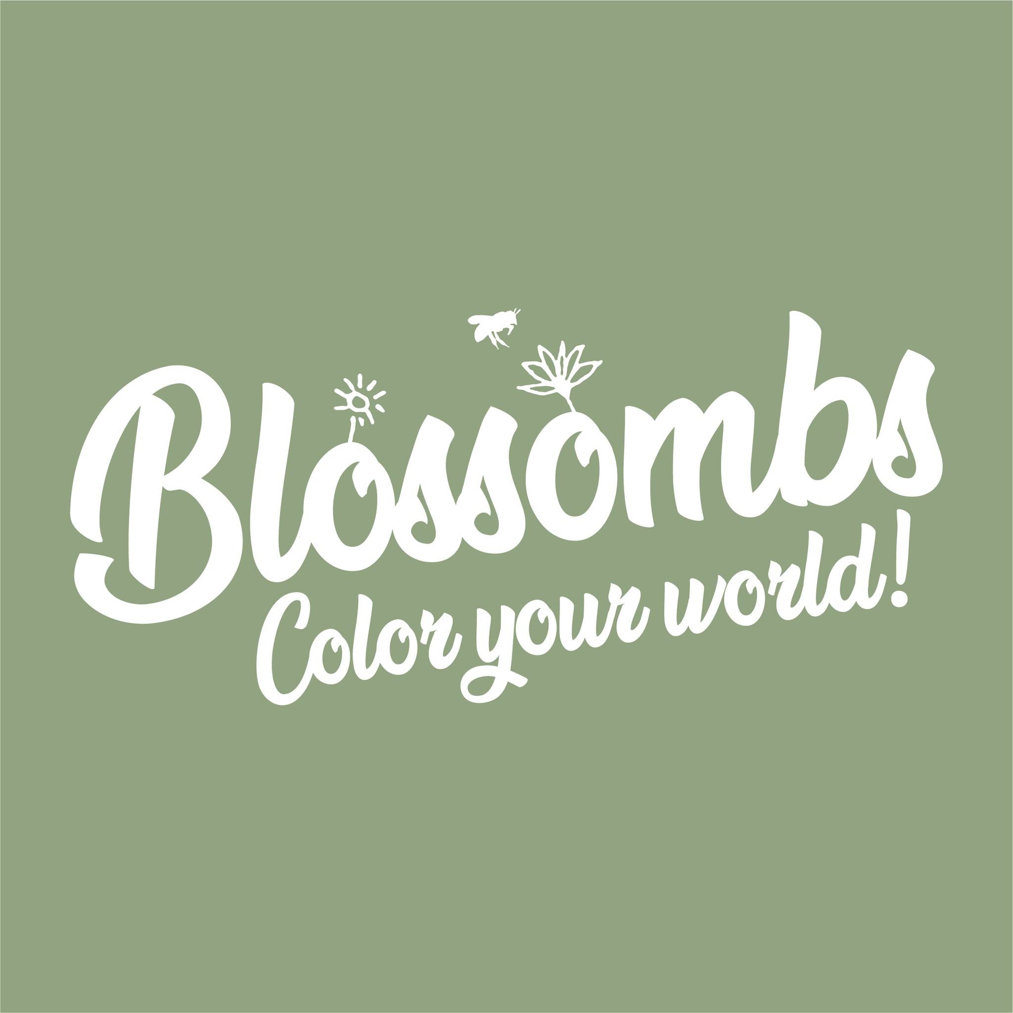 Zaadbommetjes Giftbox Medium “Bloemen voor jou” – Blossombs