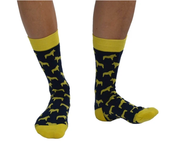 Dahlberg (Dalahorse) sok - Organic socks of Sweden