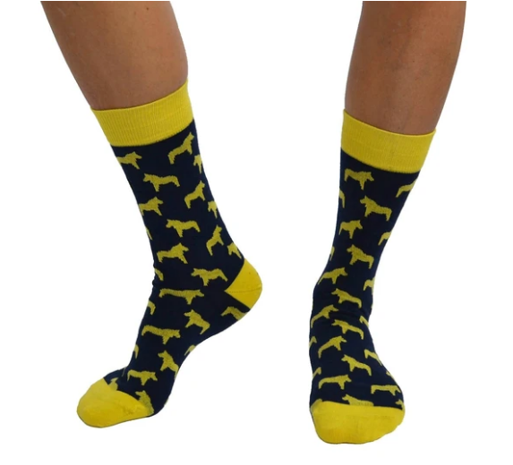 Dahlberg (Dalahorse) sok - Organic socks of Sweden