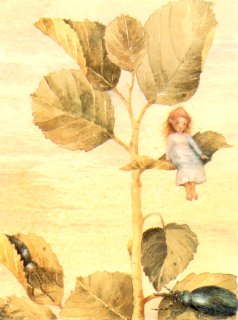 Kaart Duimelijntje 2 - Kaarina Kaila - Christofoor