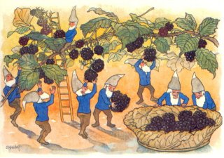 Kaart Dwergen bij de bramenpluk - Ernst Kreidolf