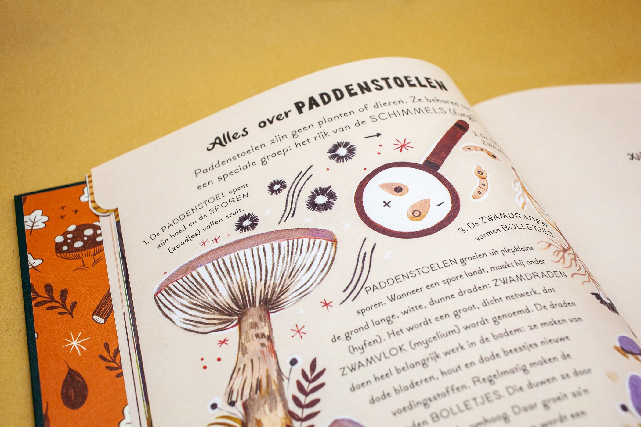 Een woud vol wonderen - 9 verhalen uit de natuur - Gabby Dawnay