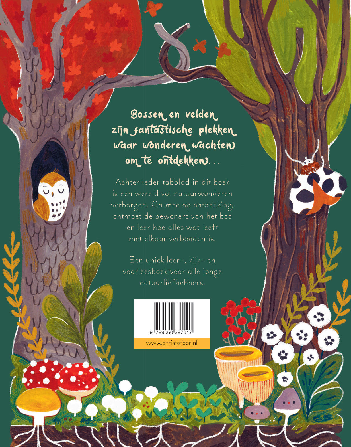 Een woud vol wonderen - 9 verhalen uit de natuur - Gabby Dawnay