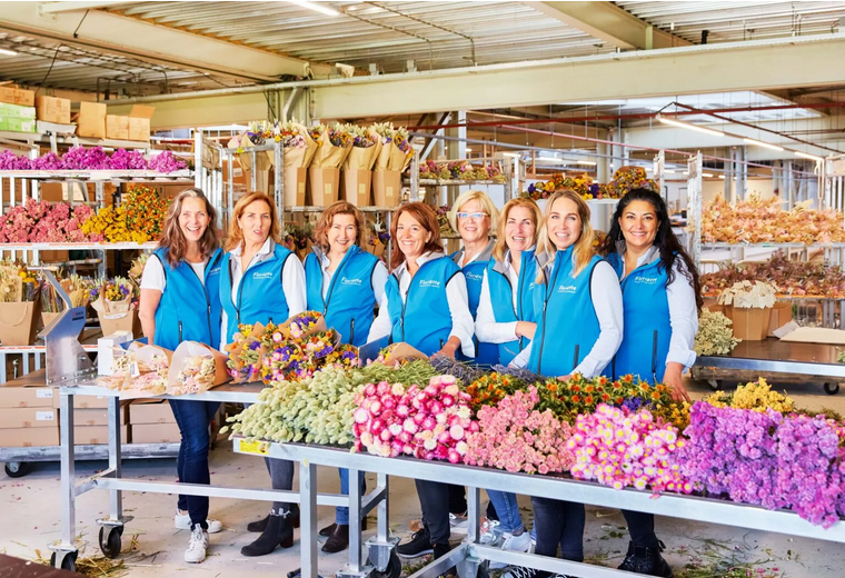 Dried Flowers - Message in a box - Small - Wildflowers by Floriette