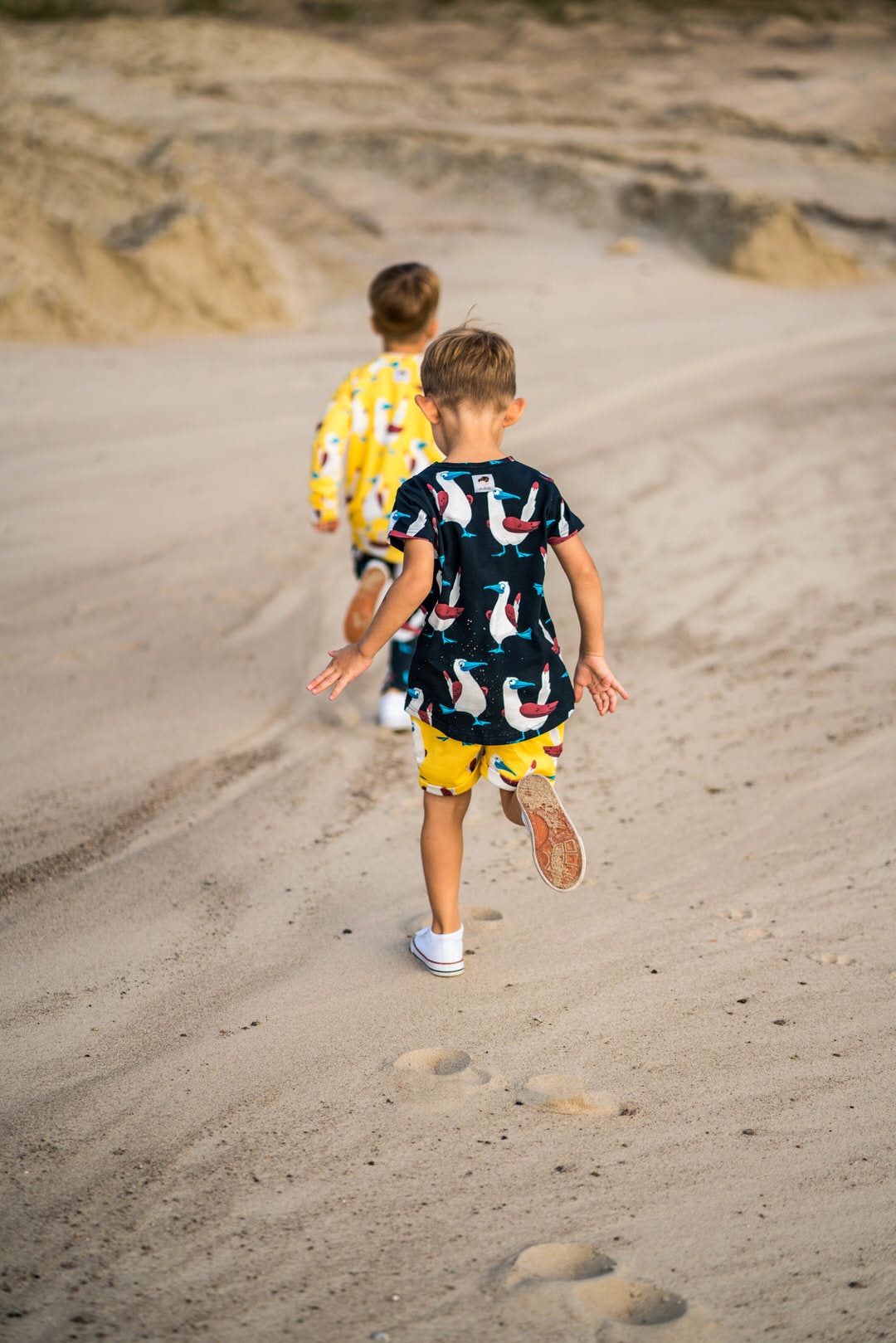 T-shirt Booby Black - Mullido