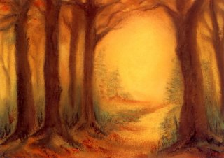 Kaart Herfstbos - Lilian van der Stap