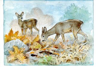 Kaart Rådjur / hert - Ingvar Björk – K. Hjelm Förlag