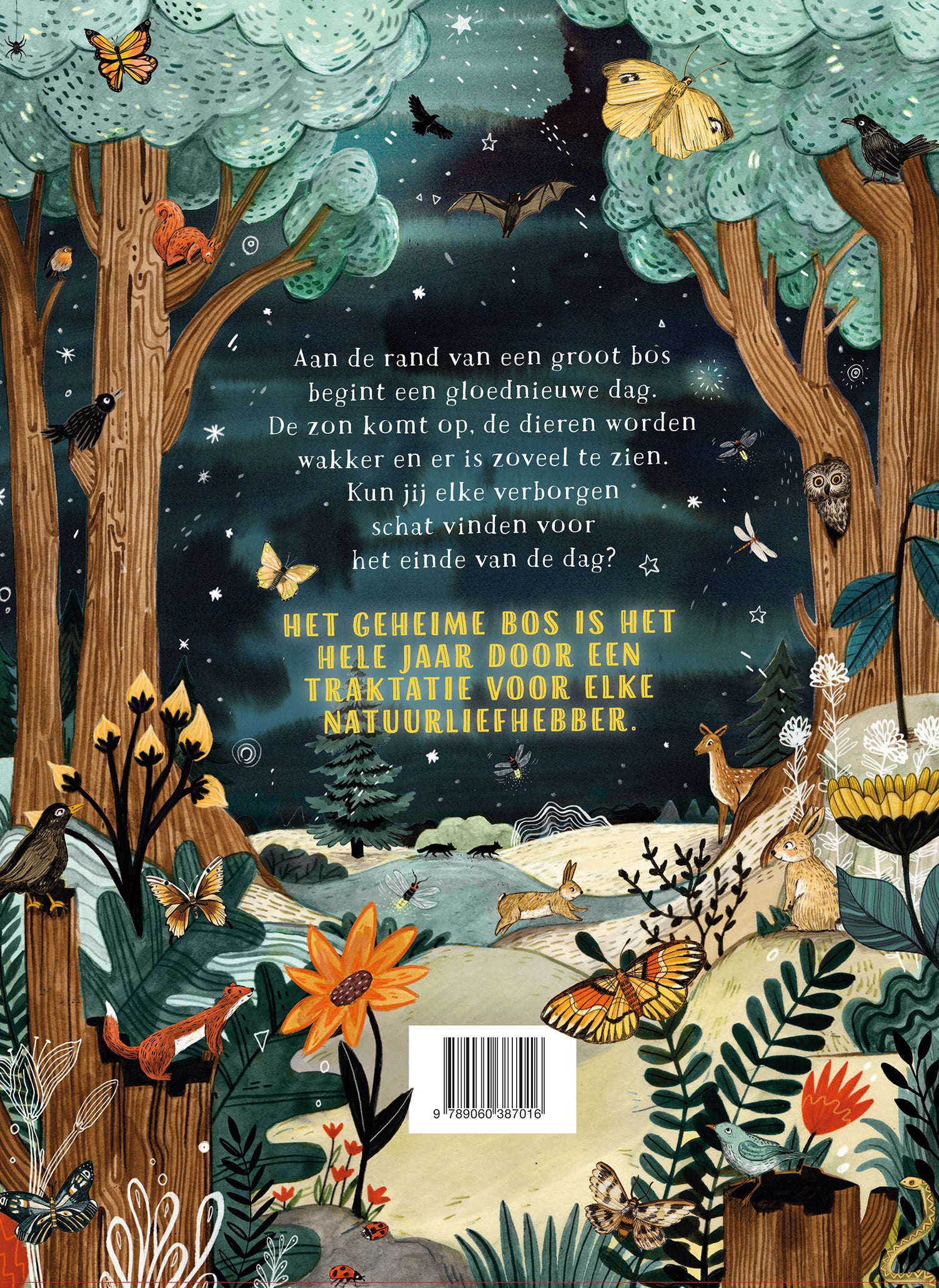 Het geheime bos - Sandra Dieckmann