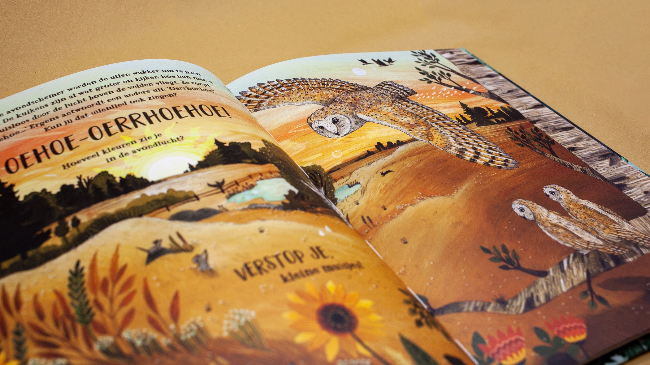 Het geheime bos - Sandra Dieckmann