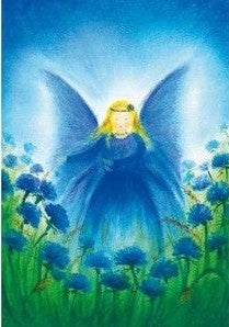 Kaart Het vlindervrouwtje - Baukje Exler