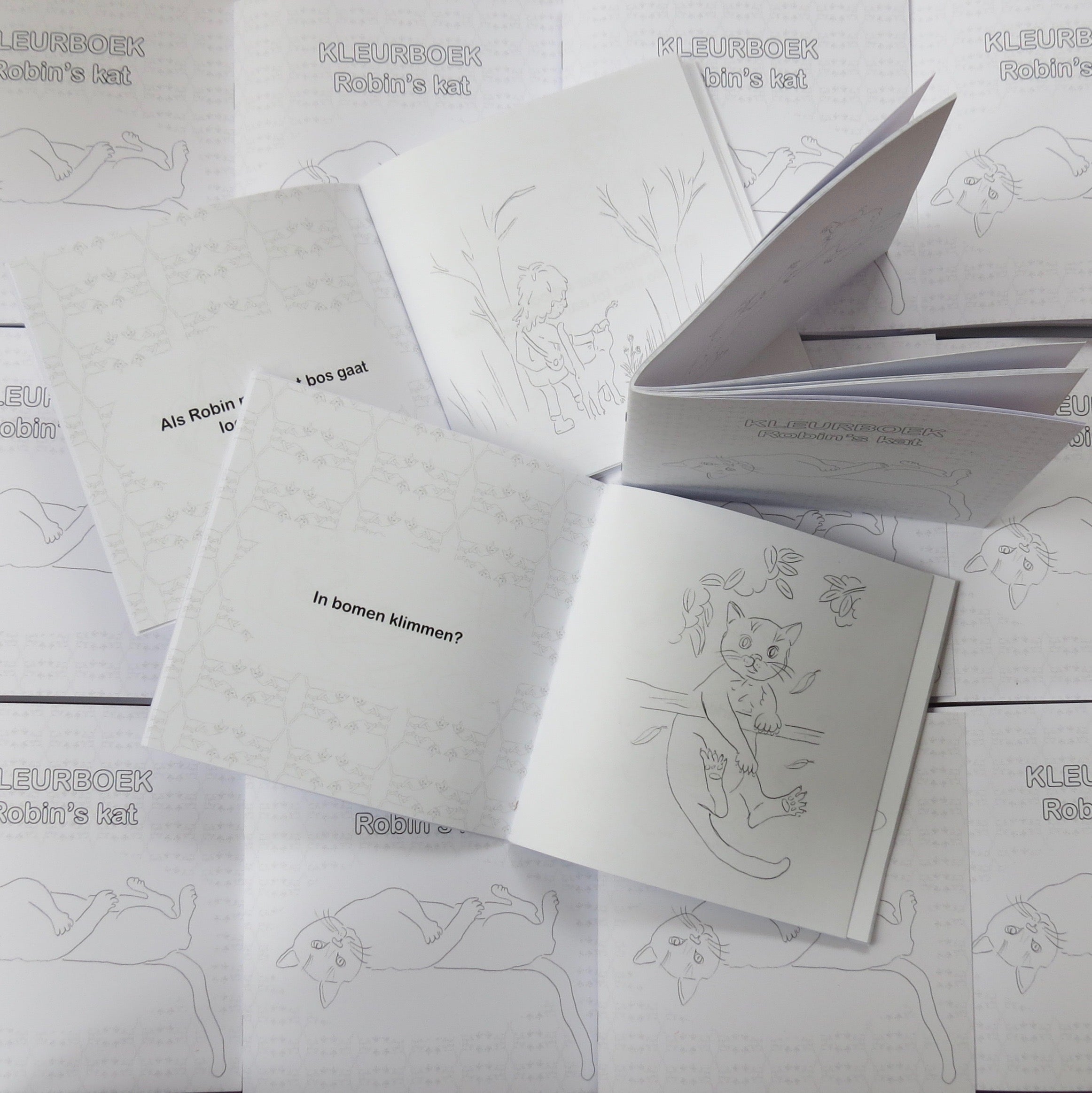 Kleurboek / prentenboek Robin’s kat – - Silly Goose