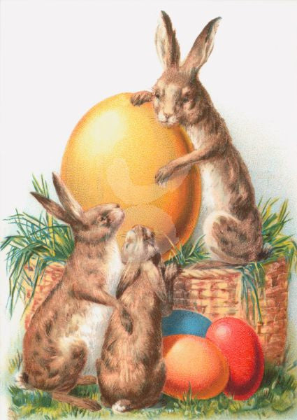 Wie heeft het grootste ei? - Kurt Jungi