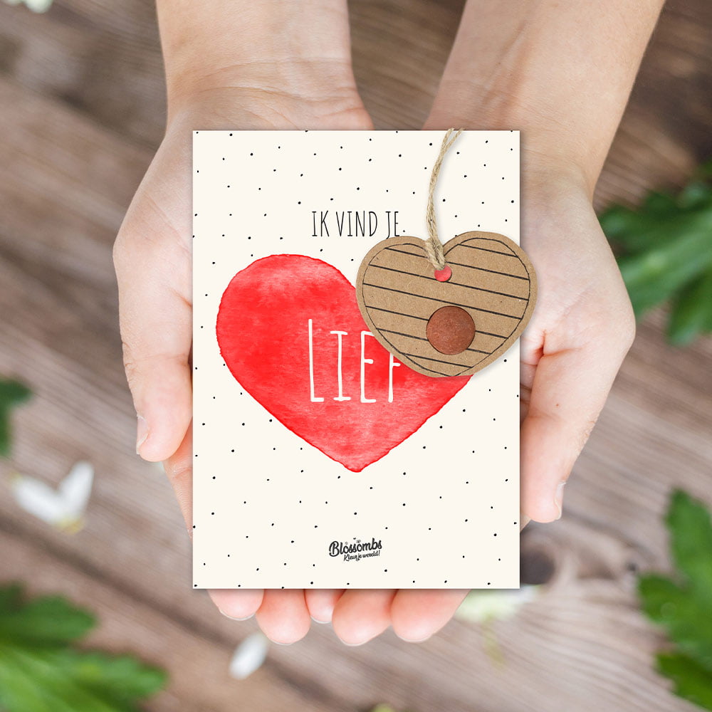 Kaart “Ik vind je lief” met zaadbommetje in hartjesvorm – Blossombs
