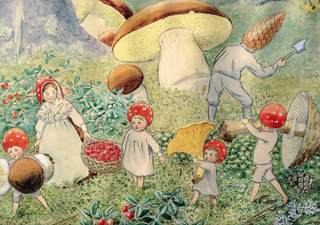 Tomtebobarnen / Kabouterkinderen verzamelen paddenstoelen - Elsa Beskow – K. Hjelm Förlag