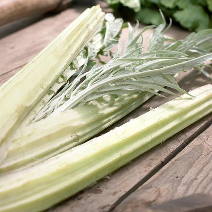 Pre-order 2026 - GROENTEN Blad- & stengelgewassen bio-zaden zakjes - De Bolster