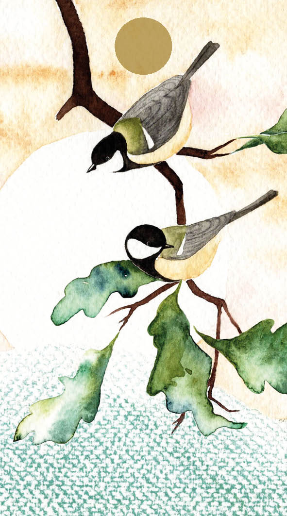 Geschenkkaartje / Gift Tag Koolmezen – Zintenz Organic Cards