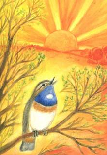 Kaart Lente / Voorjaarslied - Heike Stinner