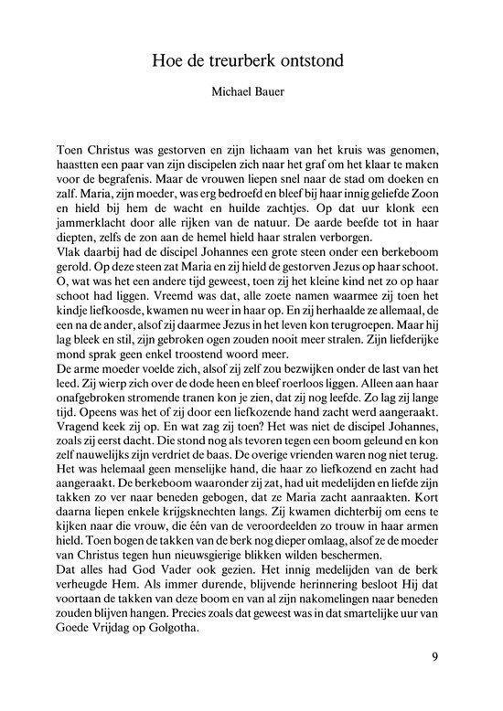 Laat mij het levenswater zoeken - Verhalen voor Pasen, Pinksteren en Sint-Jan - Ineke Verschuren