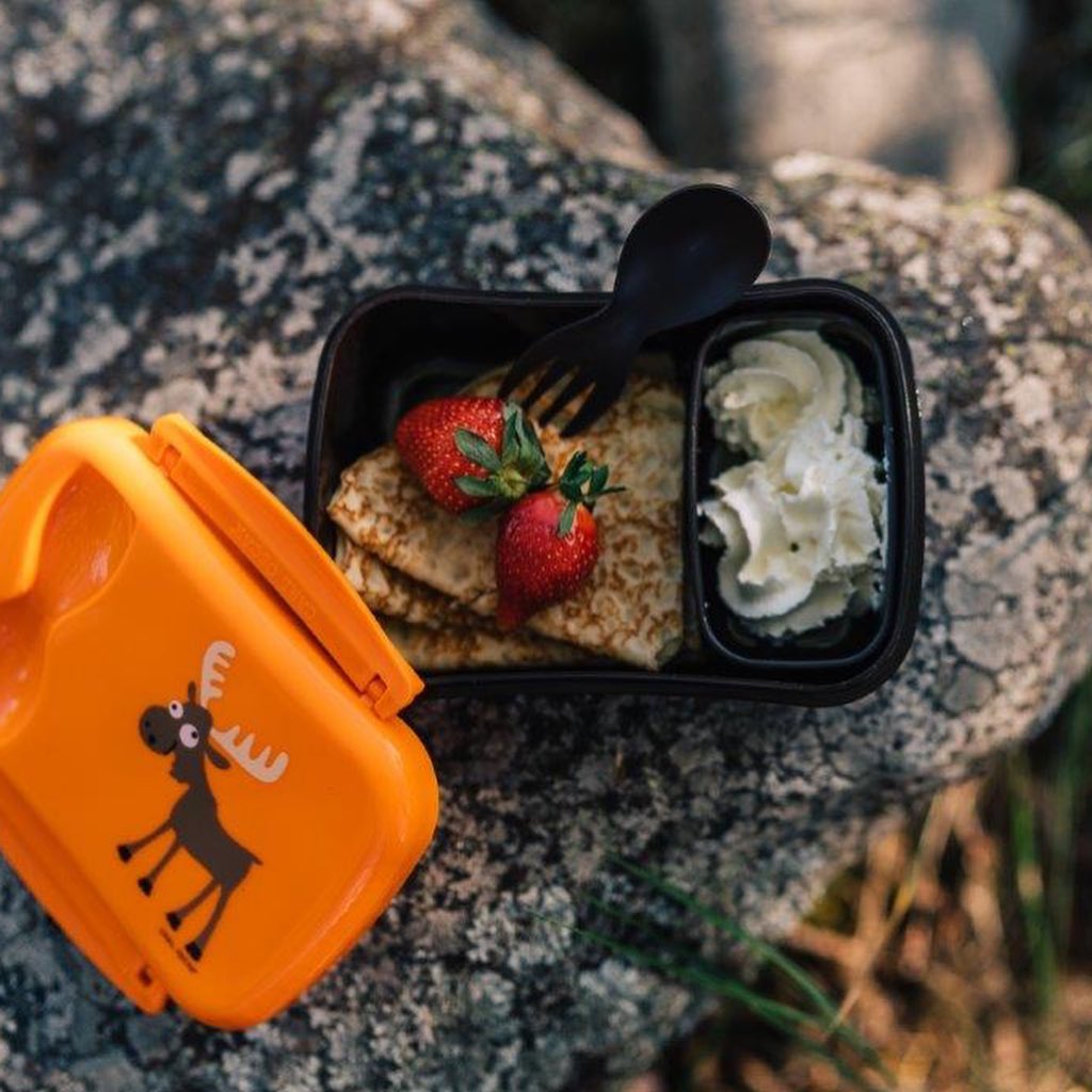 N'ice Box Kids Lunchbox met koelelement – Moose Orange – Carl Oscar