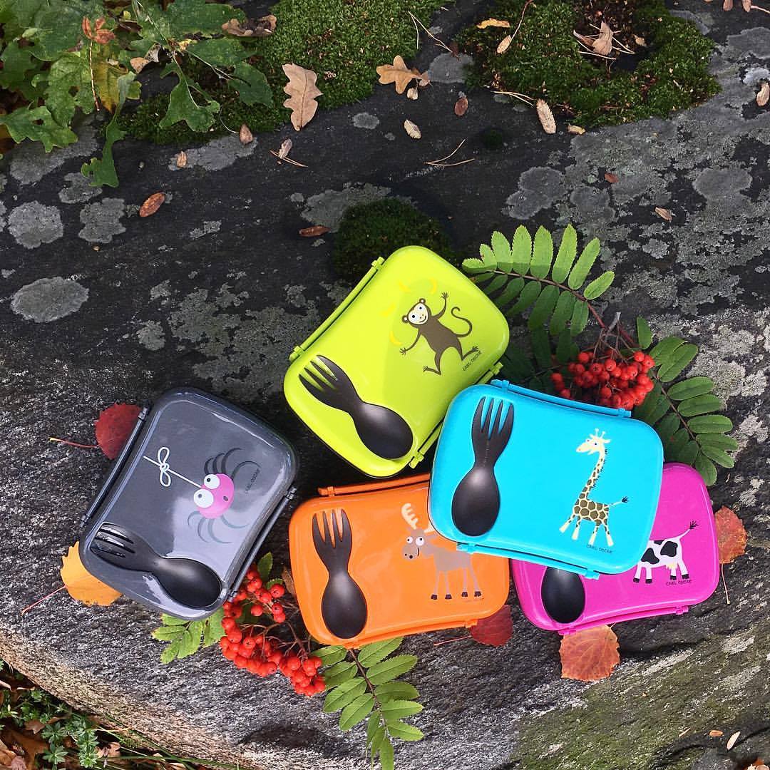 N'ice Box Kids Lunchbox met koelelement – Moose Orange – Carl Oscar