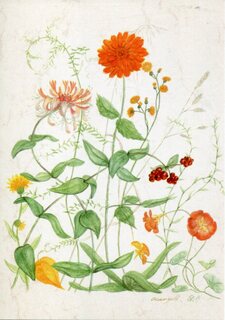 Kaart Oktober goud - Anna Lübsee