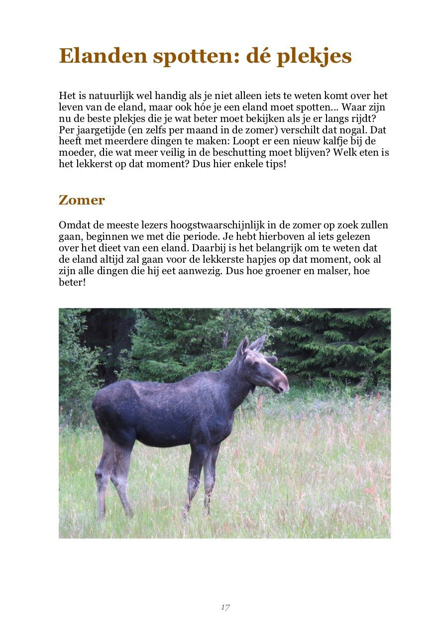 De Koning van het Woud: Alles over elanden en de beste tips om ze te spotten - Yvo Kiela