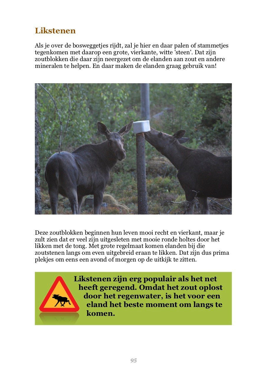 De Koning van het Woud: Alles over elanden en de beste tips om ze te spotten - Yvo Kiela