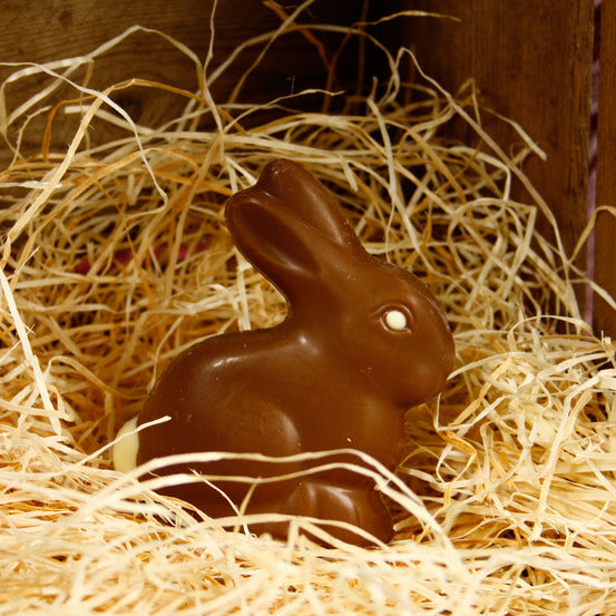 Bio & Fairtrade Paashaas melk chocolade 37% - Palais D’ébène