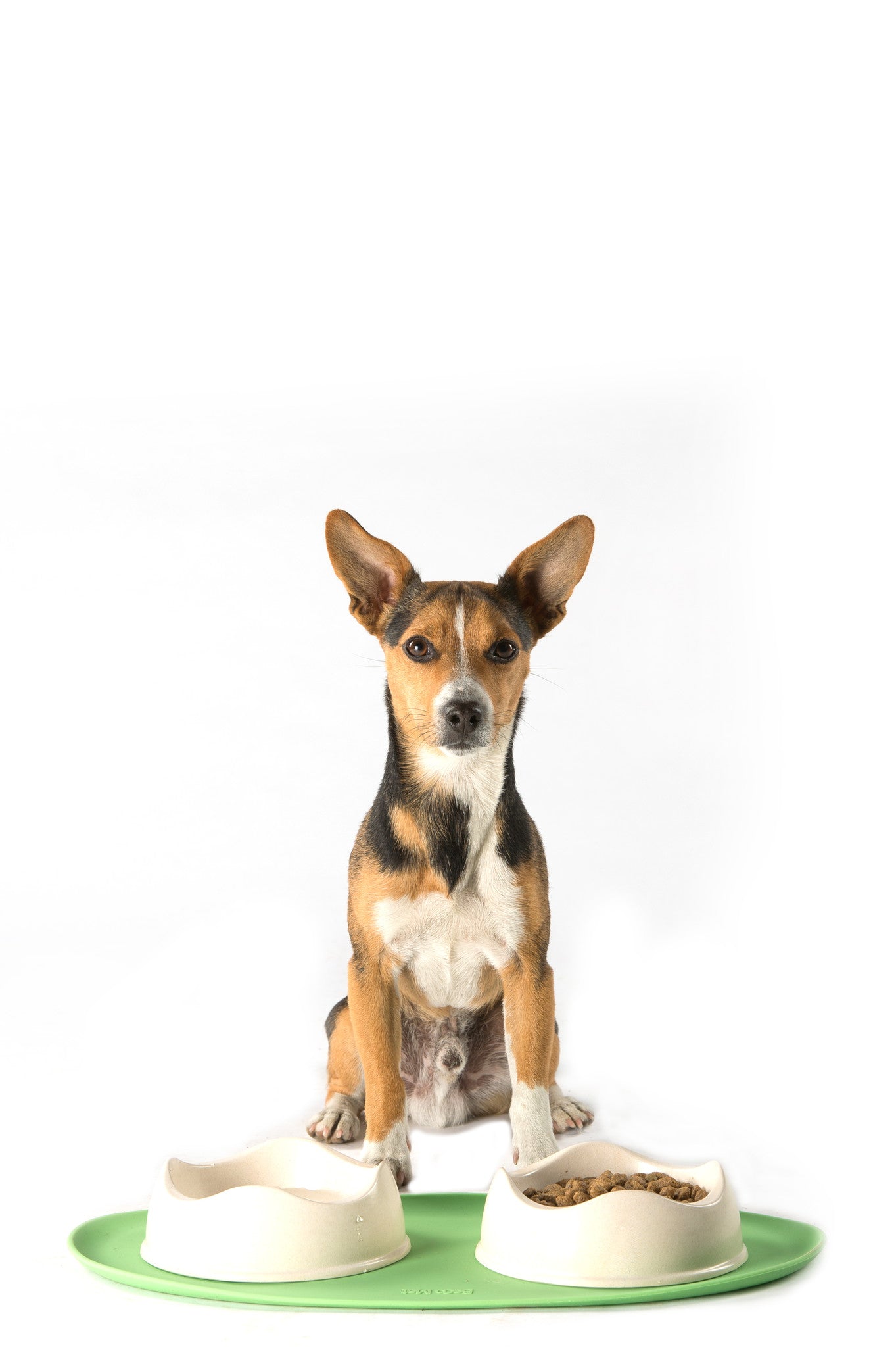 Beco Place Mat - Beco Pets