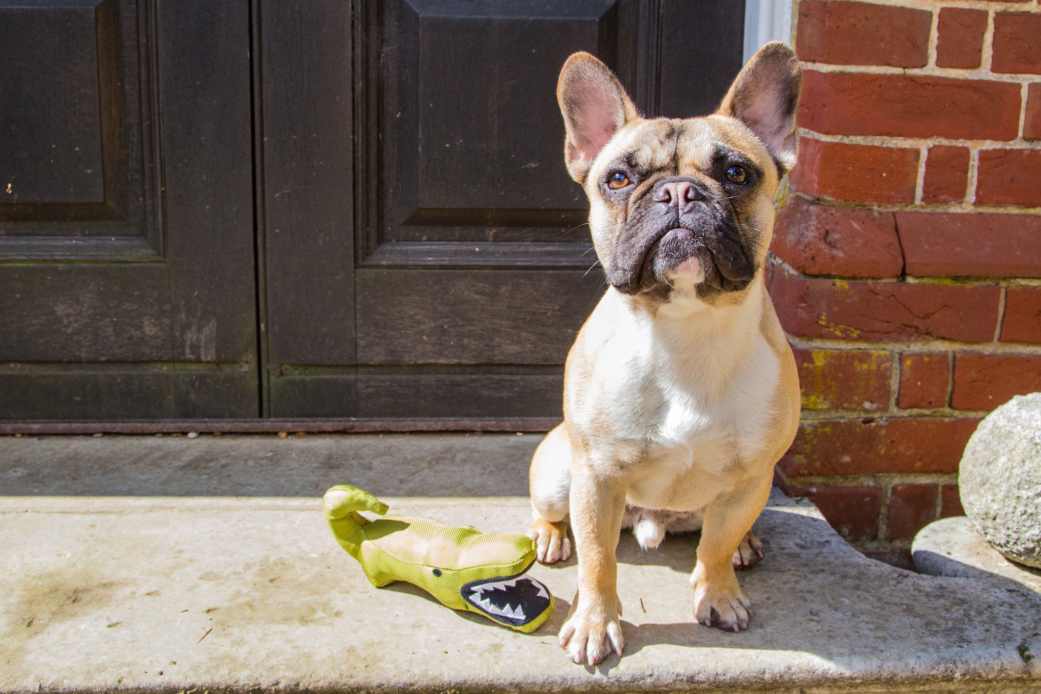 Beco Plush Toy - Aretha the Alligator - Beco Pets
